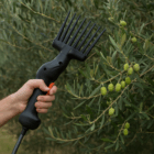 hasat makinesi zeytin