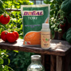 Torf Nedir? Bitkiler İçin Torfun Faydaları tatvetorf